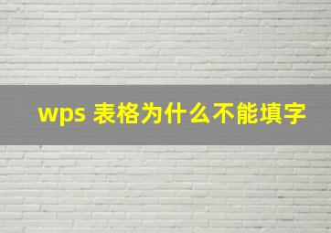 wps 表格为什么不能填字